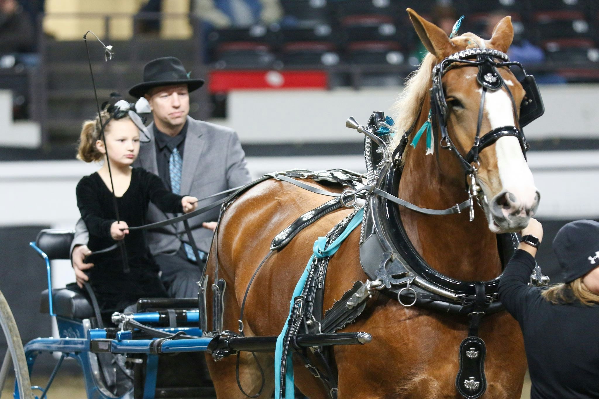 A Look Back at the 2020 Quarter Horse Show Livestock Expo