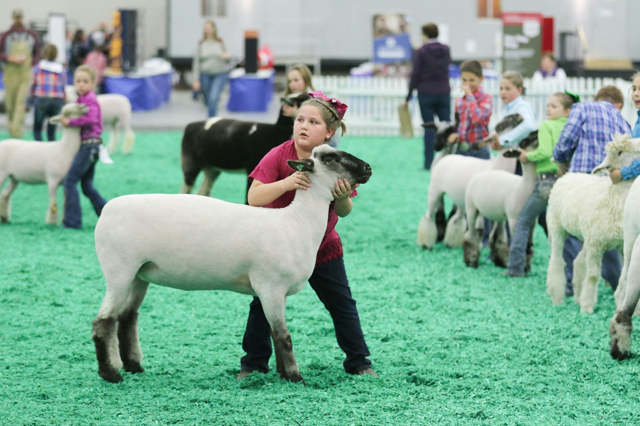 A NAILE To Remember Livestock Expo