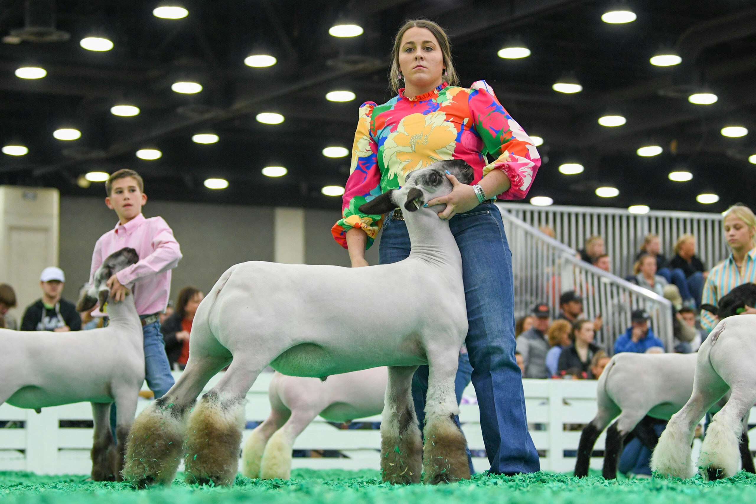 North American International Livestock Exposition Wraps Another